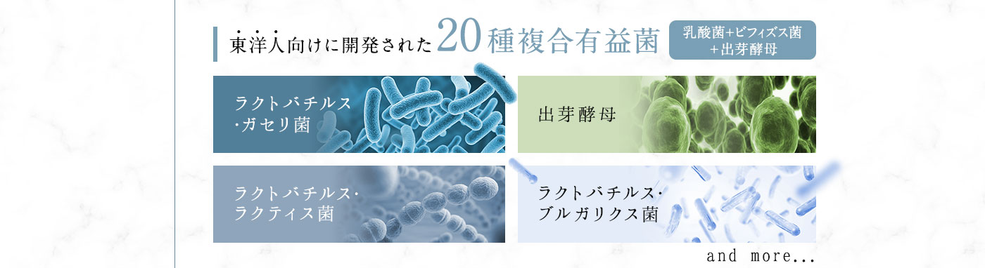 東洋人向けに開発された20種複合有益菌