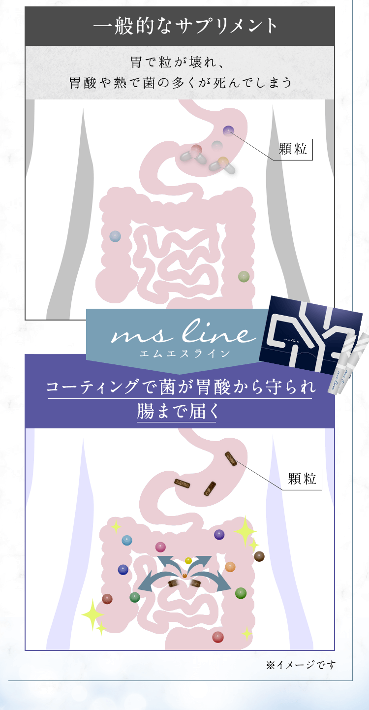 Ms Line 公式オンラインストア Ms Line 公式ストア